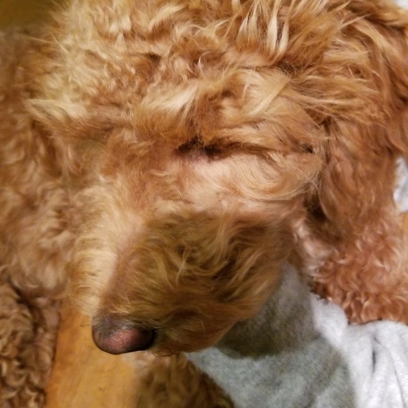 Meet your Posher, Margaret - Picture 1 of 1